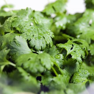 جعفری پابلند - Image 2