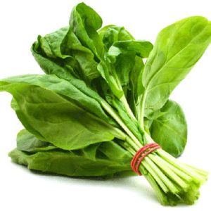 اسفناج برگ درشت