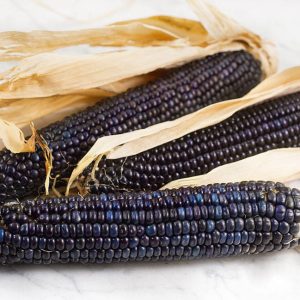 ذرت رنگی آبی